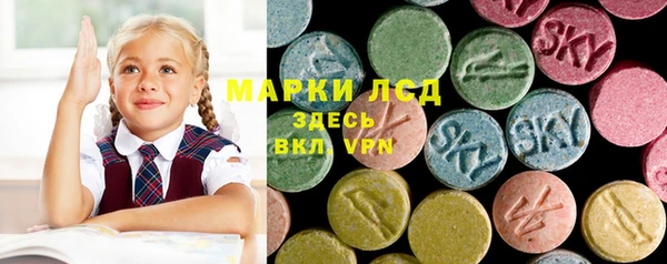 хмурый Алексин
