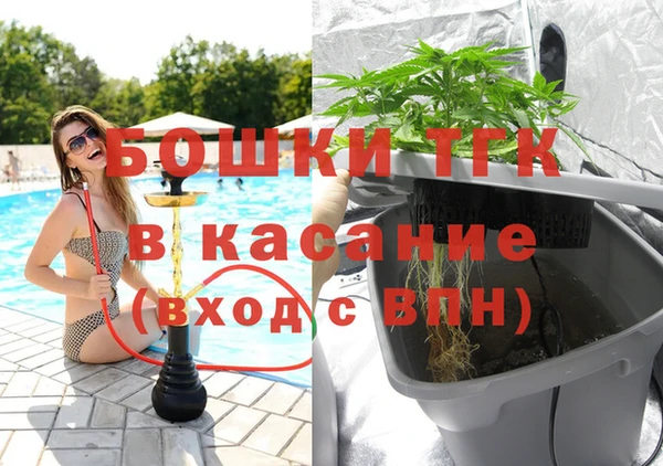 хмурый Алексин