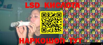 винт Кимры
