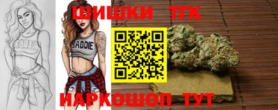 твердый Кингисепп