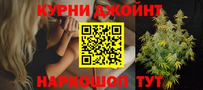твердый Кингисепп