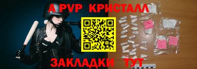 твердый Кингисепп