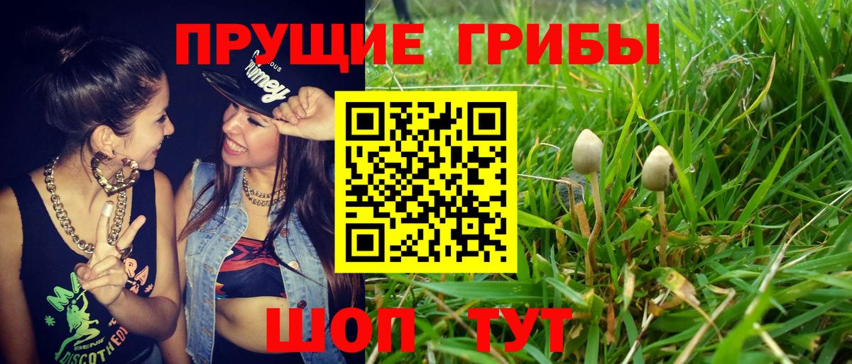 Ишимбай  Галлюциногенные грибы мицелий  Вход с VPN 